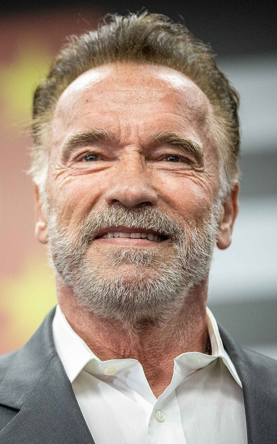 The Austrian Oak to American Governor: Arnold Schwarzenegger's Nationality